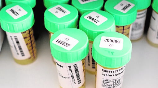 Recipientes que albergan la leche humana pasterizada
